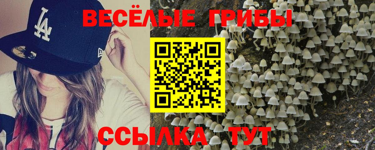 наркотики  Галлюциногенные грибы ЛСД  Вход с VPN  Тихорецк  Галлюциногенные грибы MAGIC MUSHROOMS 