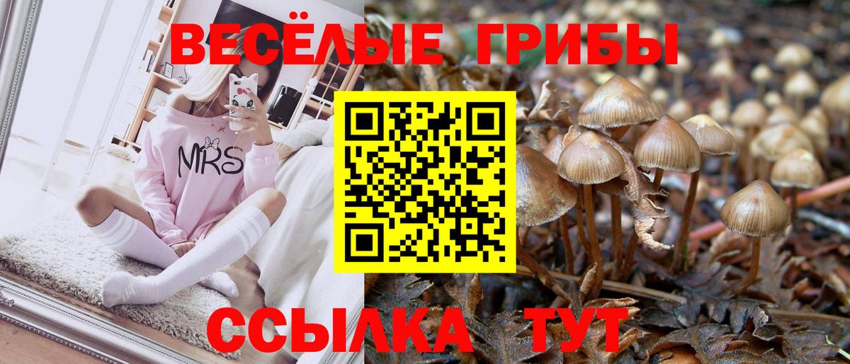 Галлюциногенные грибы мухоморы Тихорецк